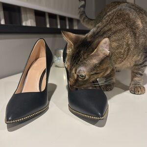 Coach Samantha Pumps, 8.5 black leather and gold trimmed